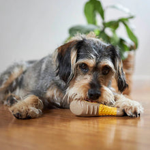 Tough N' Tasty Chew Bone - Chicken