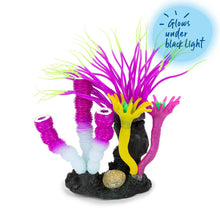 Tunicate Coral Garden
