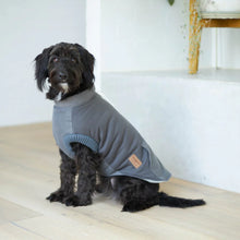 Kick Back Dog Jacket - Grey