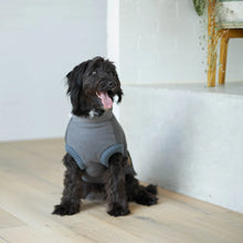 Kick Back Dog Jacket - Grey