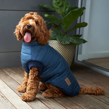 Reversible Puffer Dog Jacket