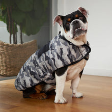 Jungle Dog Snuggie