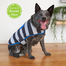 Chunky Stripe Dog Snuggie