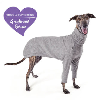 Greyhound Softie Jumper - Grey