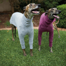 Greyhound Softie Jumper - Grey