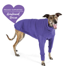 Greyhound Jumper - Multicolor