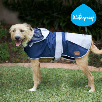 Rainy Days Dog Raincoat - Lagoon