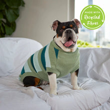 Chestie Dog Jumper - Forest