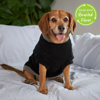 Cable Knit Dog Jumper - Multicolor