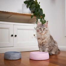 Better Bowl For Pets - Musk Pink