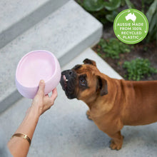 Better Bowl For Pets - Musk Pink