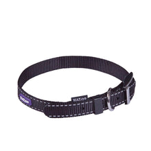 Classic Buckle Dog Collar - Multicolor