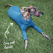 Greyhound Knit Jumper - Bondi