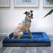 Wombat Dog Bed - Midnight Blue