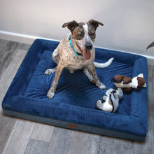 Wombat Dog Bed - Midnight Blue