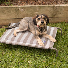 Pillow Top Outdoor Dog Bed - Striped