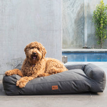 Scooby Sofa Pet Lounge Canvas Charcoal