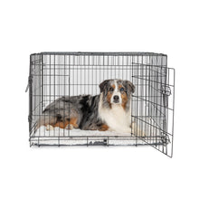 Dog Training Crate Dual Door