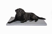 Twilled Canvas Pet Mat Mid Grey